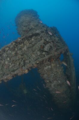 relitto Saint Nazaire © Portofino Divers relitto Saint Nazaire © Portofino Divers