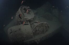 relitto Saint Nazaire © Portofino Divers relitto Saint Nazaire, Moneglia © Portofino Divers