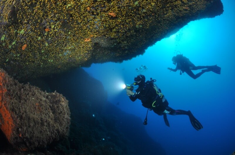 Diving in Portofino @ Bruno Borelli