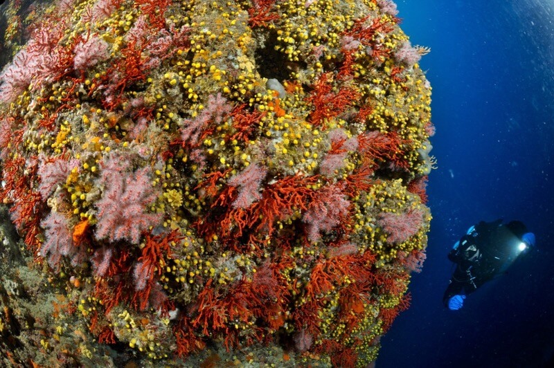PADI Deep Diver course